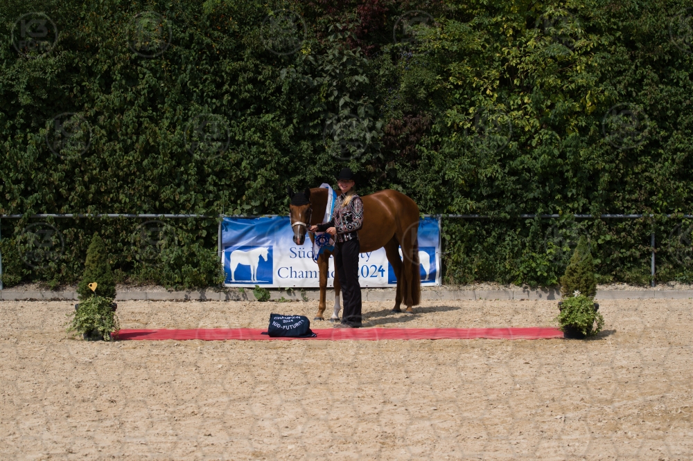 s_batch_A9_00200.jpg